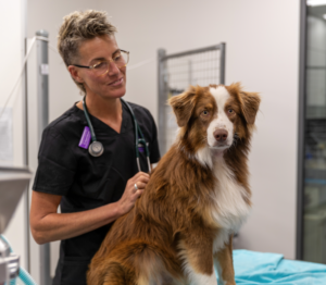 North Coast Veterinary Emergency & Critical Care