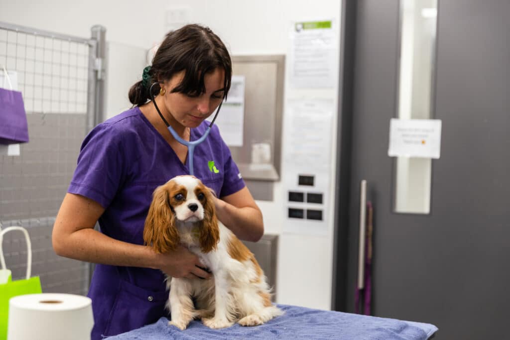 North Coast Veterinary Emergency & Critical Care